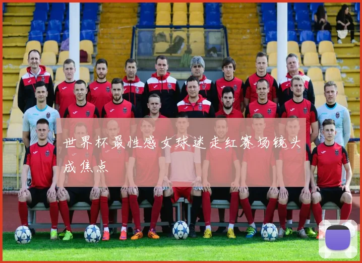 世界杯最性感女球迷走红赛场镜头成焦点
