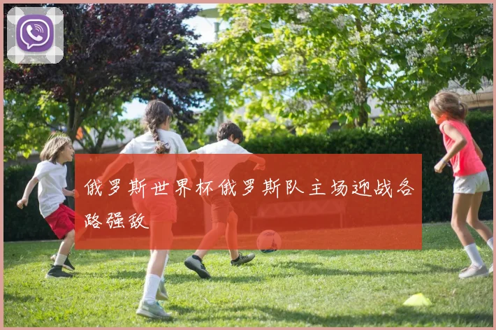 俄罗斯世界杯俄罗斯队主场迎战各路强敌