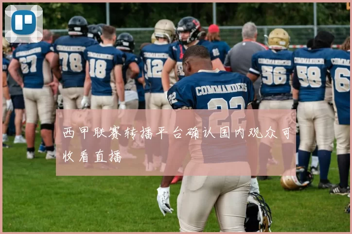 西甲联赛转播平台确认国内观众可收看直播