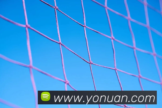 EMC易倍·(中国)体育官方网站平台APP 体育赛事宣传图